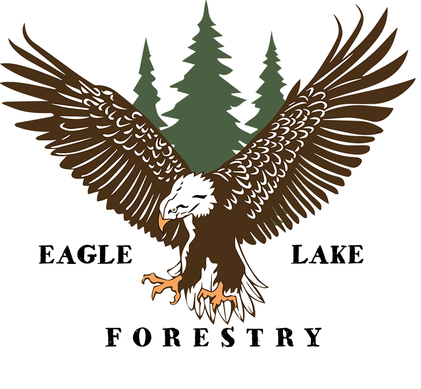 Eagle Lake Forestry