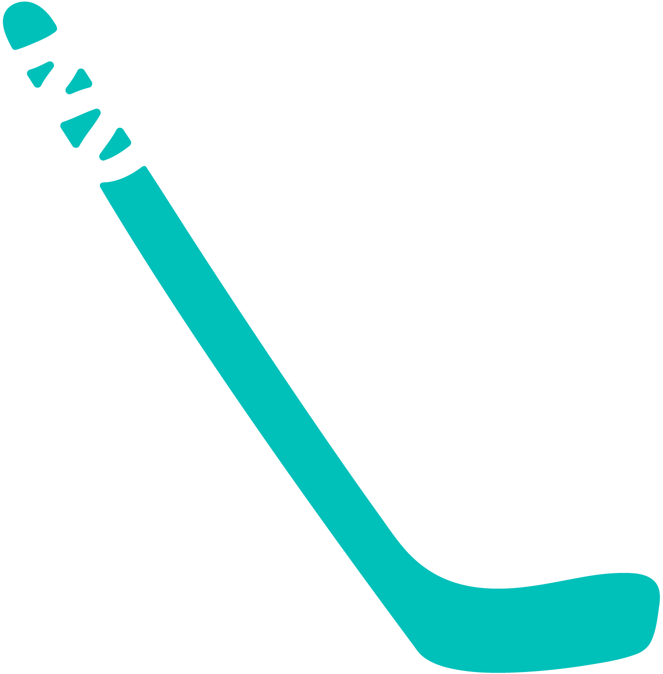 hockey stick